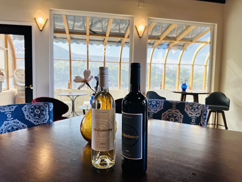 Photo of Dichotomy Vineyards