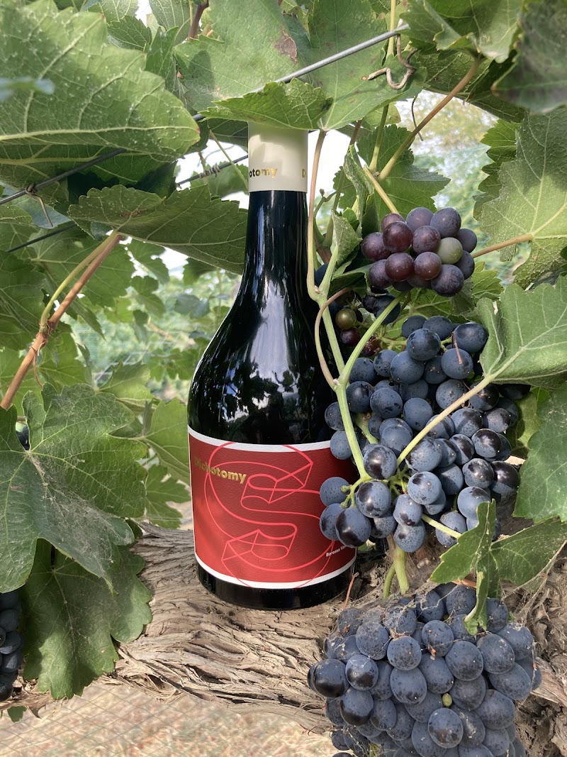 Photo of Dichotomy Vineyards