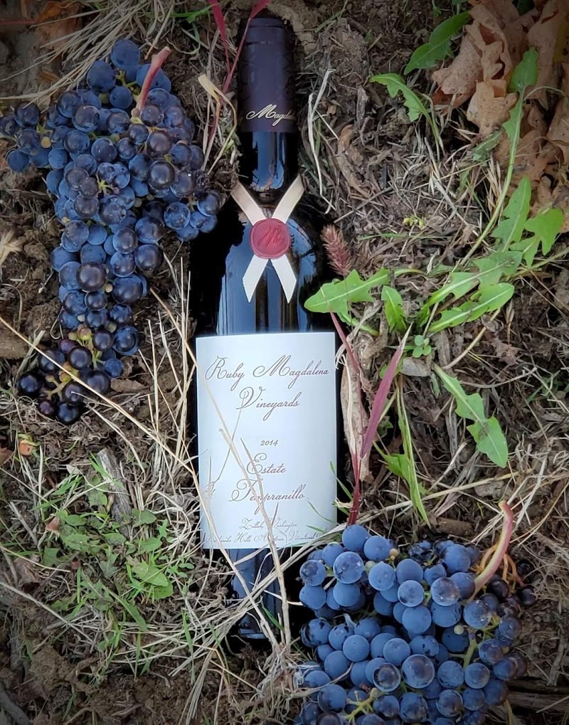 Photo of The Cork & Pullet at Ruby Magdalena Vineyards