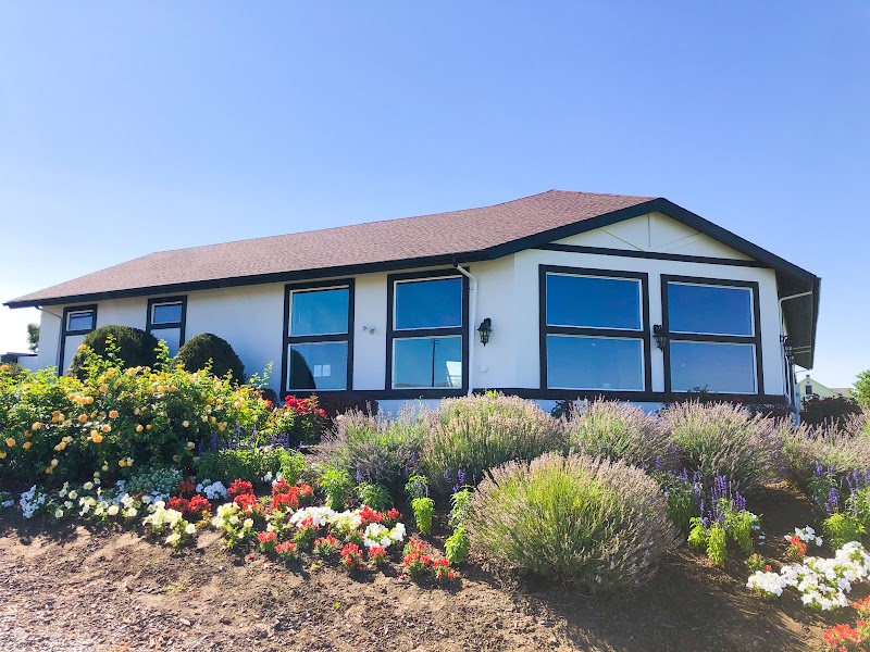 Photo of Sheridan Vineyard, The Garden