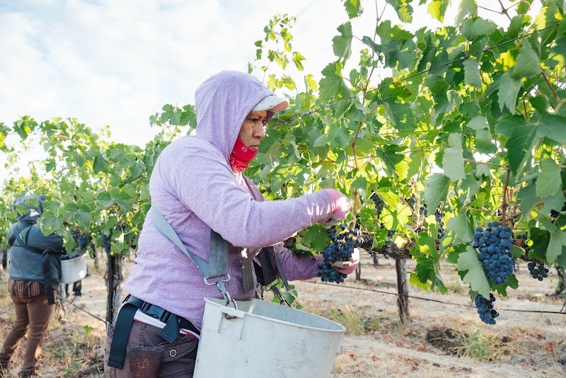 Photo of VITAL Wines