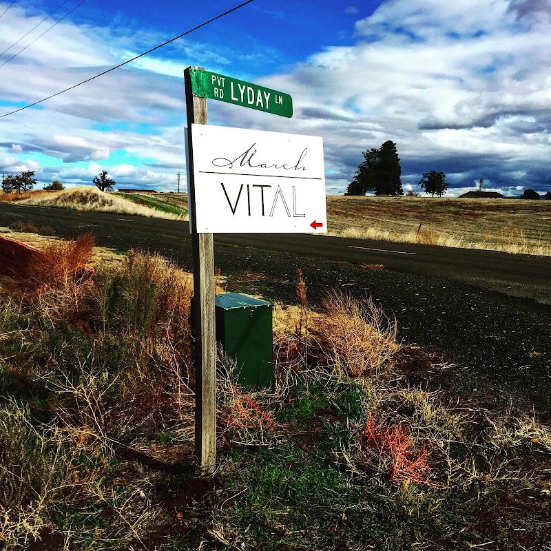 Photo of VITAL Wines