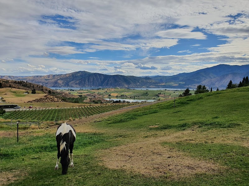 Photo of Amos Rome Vineyards’ High Blossom Estate