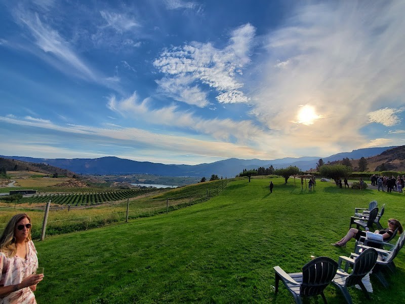 Photo of Amos Rome Vineyards’ High Blossom Estate