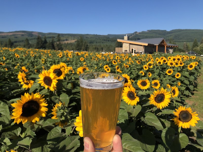 Photo of Grateful Vineyard