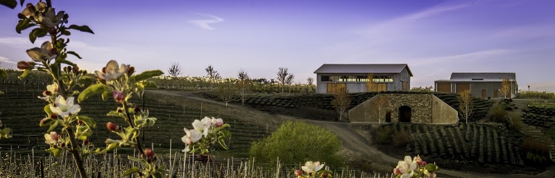 Photo of Gilbert Cellars