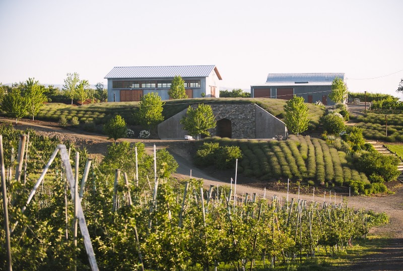 Photo of Gilbert Cellars