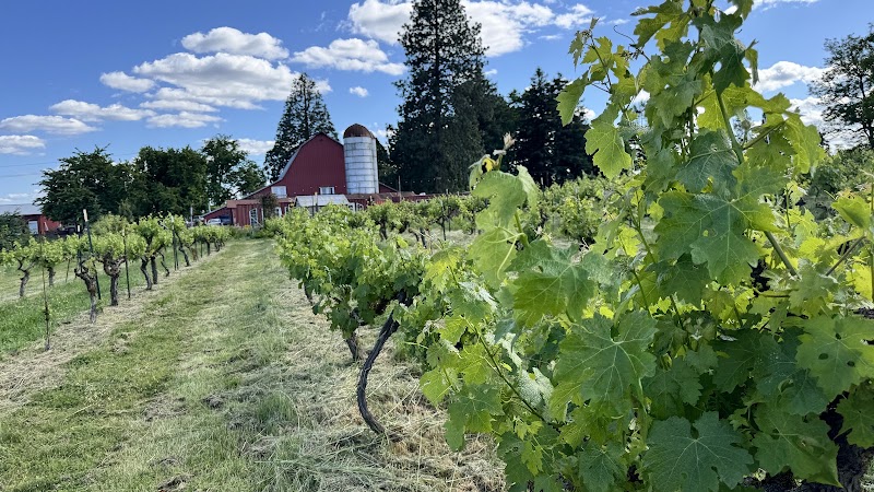 Photo of English Estate Winery