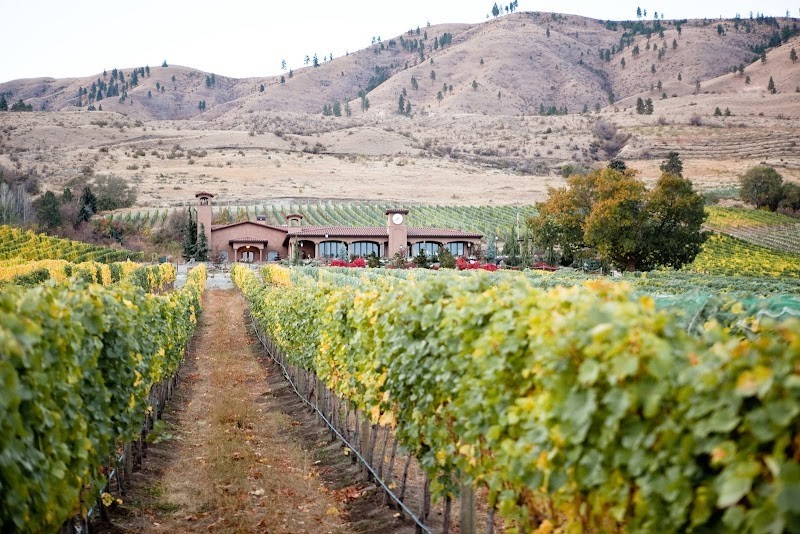 Photo of Tsillan Cellars