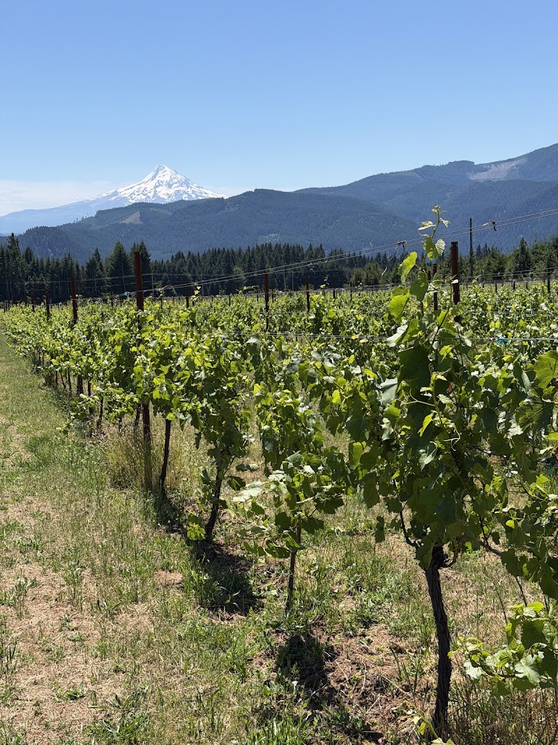 Photo of Crooked Acres Vineyard