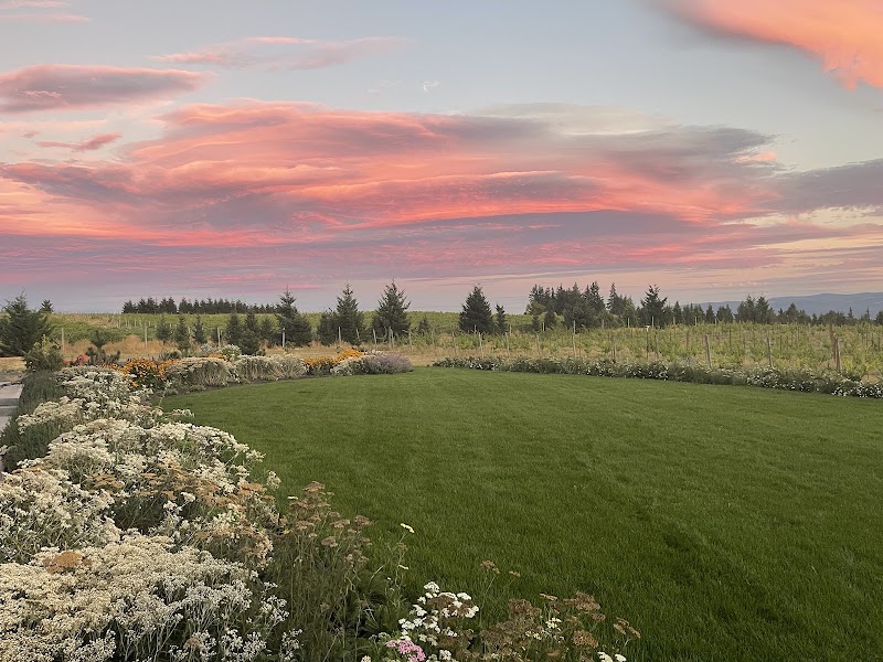 Photo of Crooked Acres Vineyard
