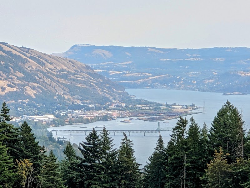 Photo of Savage Grace Wines