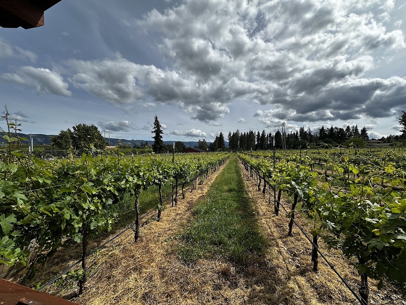 Photo of Marchesi Vineyards & Winery