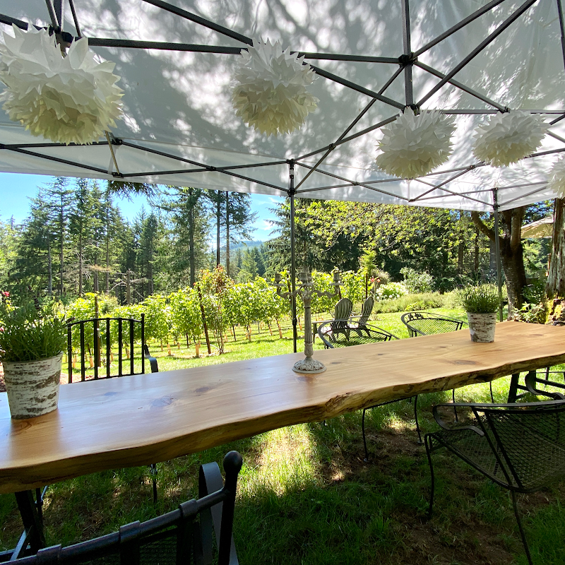Photo of Chateau NoElle Vineyards & Winery