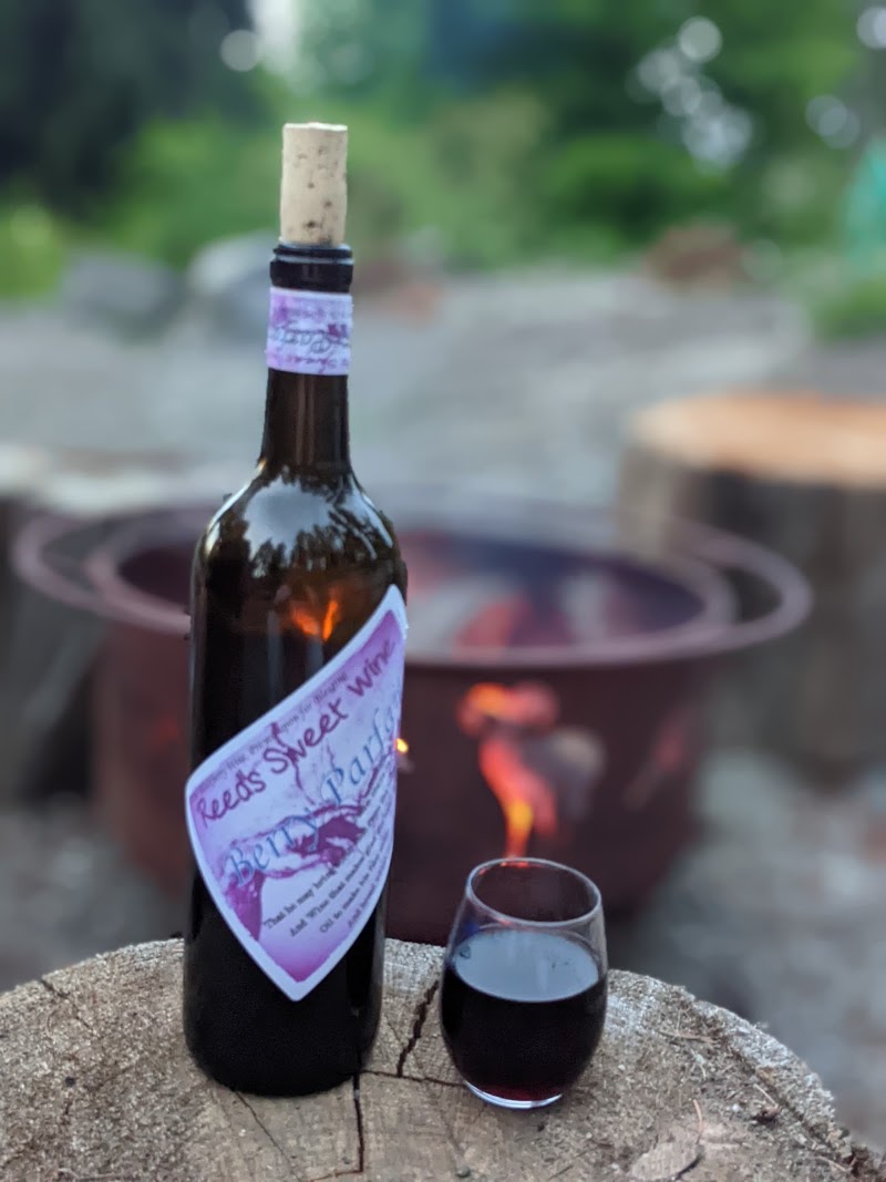 Photo of Reed's Sweet Wine