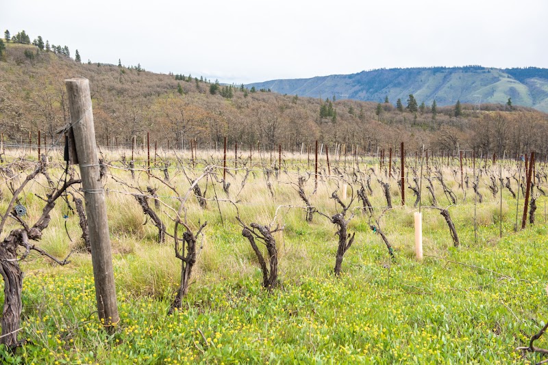 Photo of Klickitat Canyon Winery Tasting Room and Farm Store