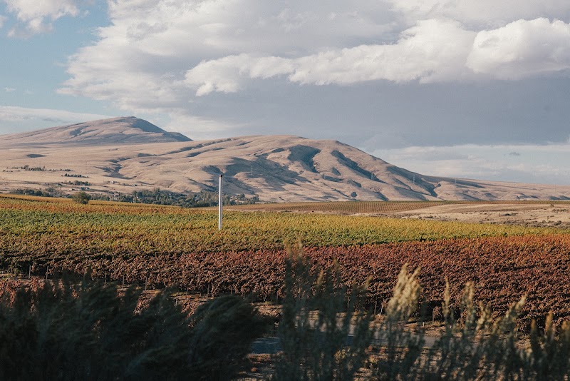 Photo of Kiona Vineyards and Winery