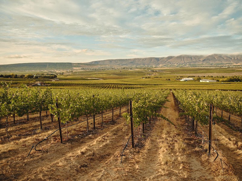 Photo of Kiona Vineyards and Winery