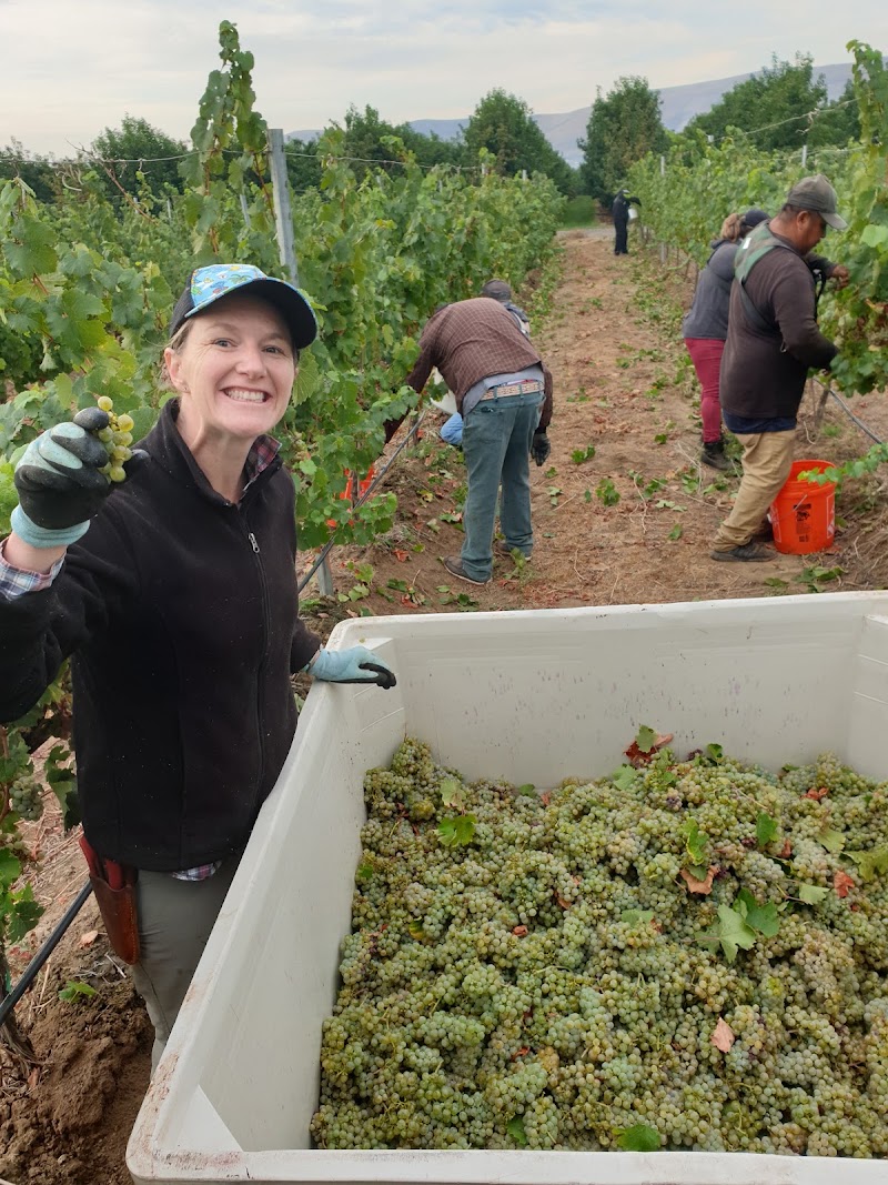 Photo of Crowe Wines