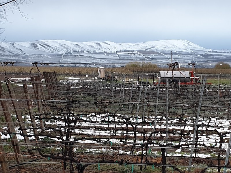 Photo of Crowe Wines