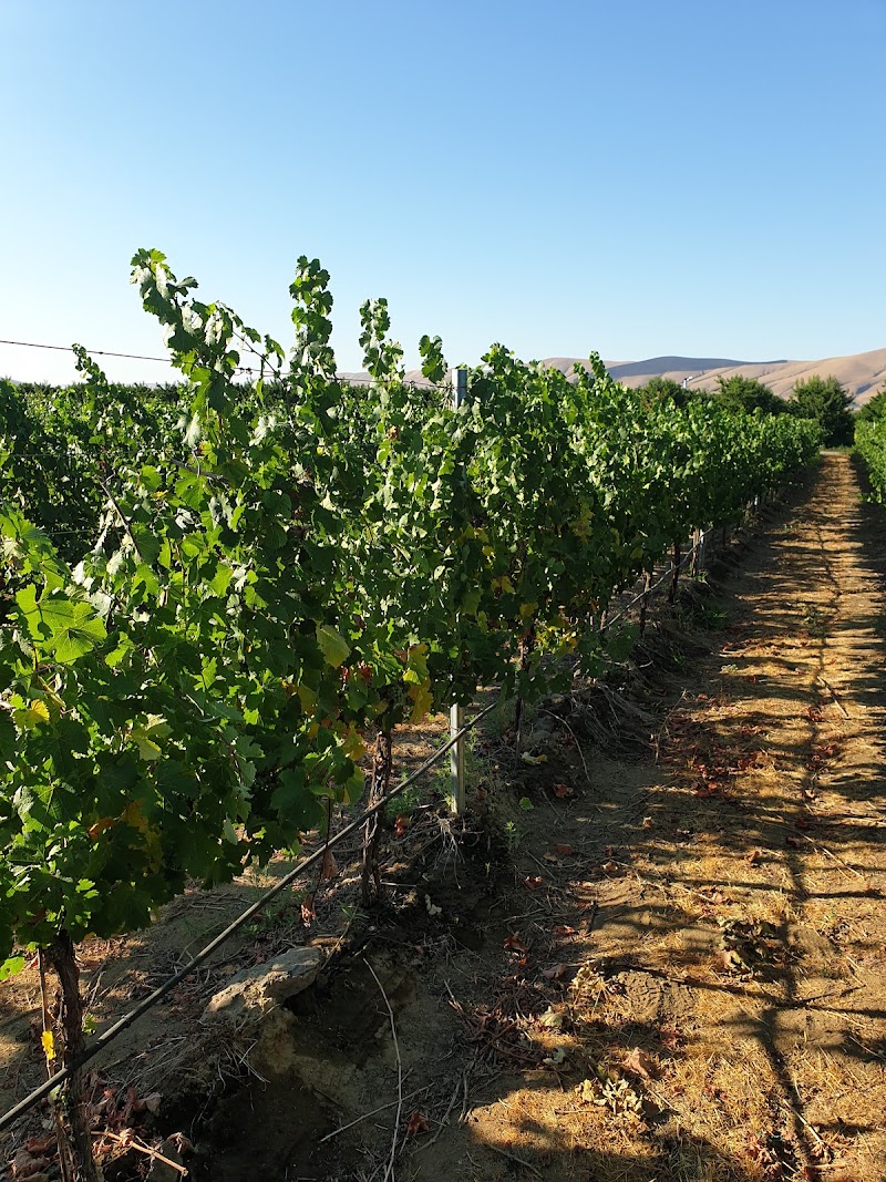 Photo of Crowe Wines