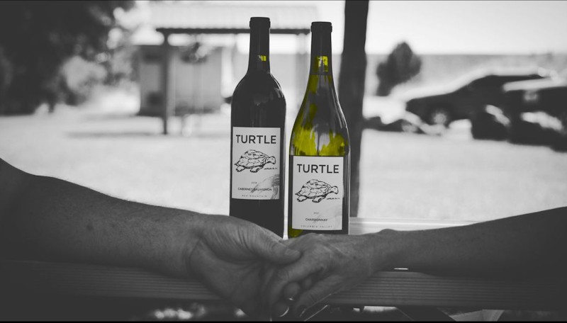 Photo of Turtle Wines