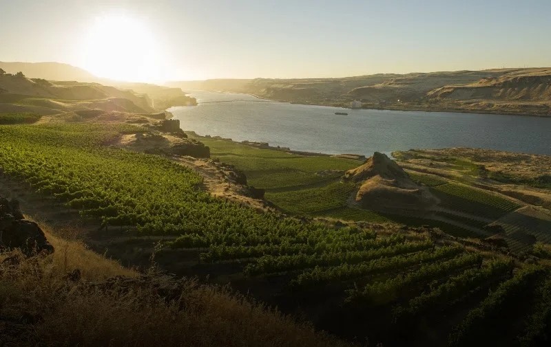 Maryhill Winery Goldendale Tasting Room & Bistro
