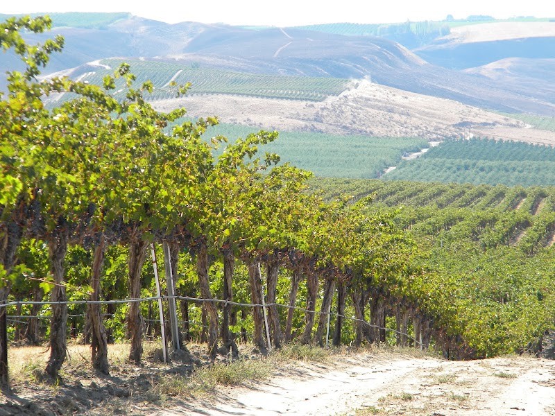 Photo of Forgeron Cellars Winery & Tasting Room