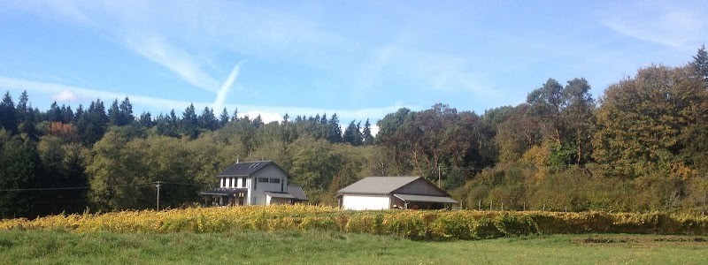 Photo of Alli Lanphear Vineyard & Winery