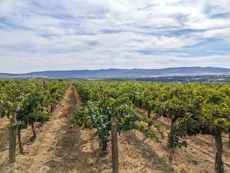 Photo of Hightower Cellars