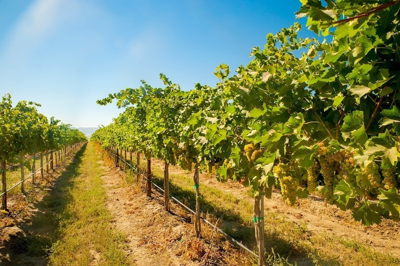 Photo of Gard Estate Wines Woodinville