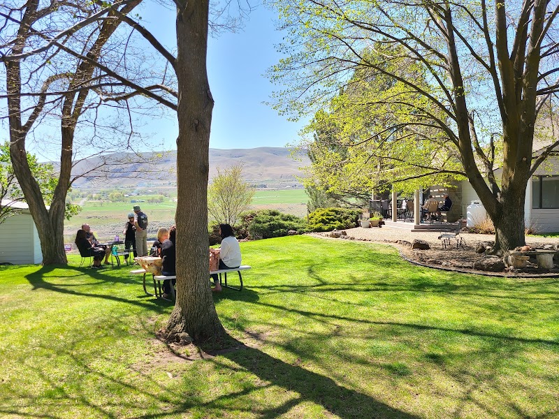 Photo of Sleeping Dog Wines