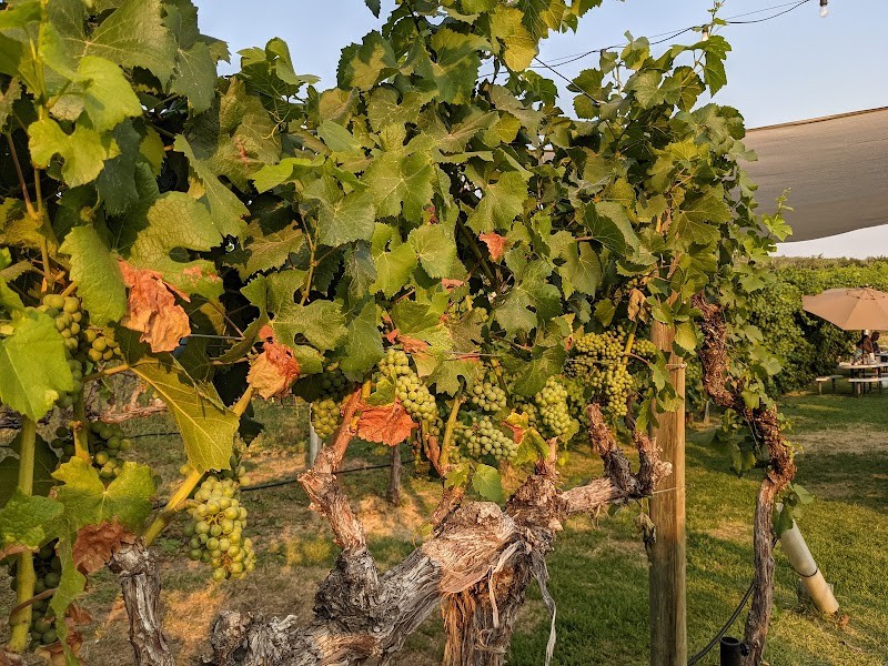 Photo of Lake Chelan Winery