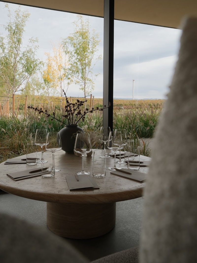 Photo of EVEREN Wines