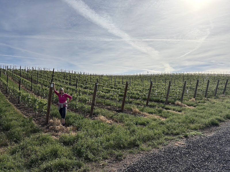 Photo of REALI Tasting Room and Reali Family Vineyard