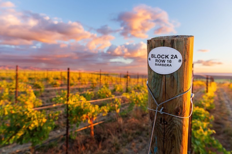 Photo of REALI Tasting Room and Reali Family Vineyard