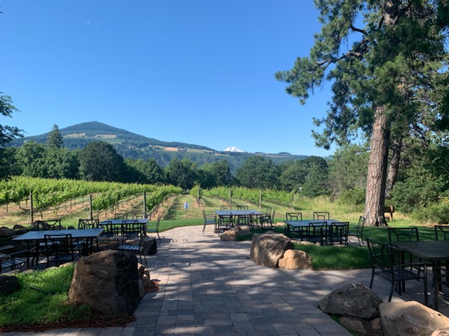 Photo of Cathedral Ridge Winery