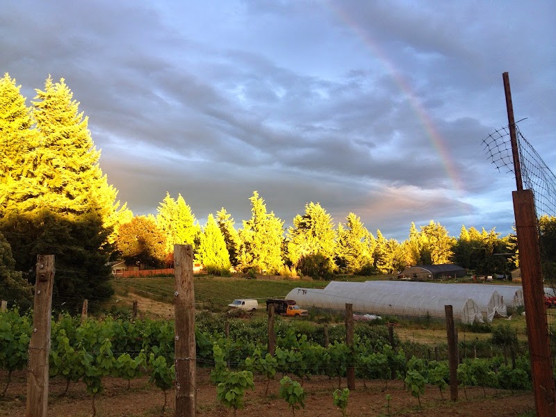 Photo of Perennial Vintners