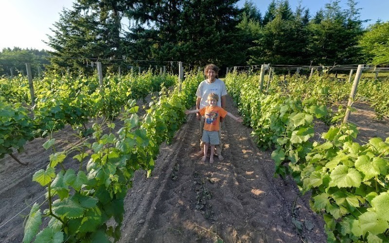 Photo of Perennial Vintners