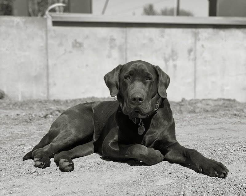 Photo of Gatekeeper - Red Mountain