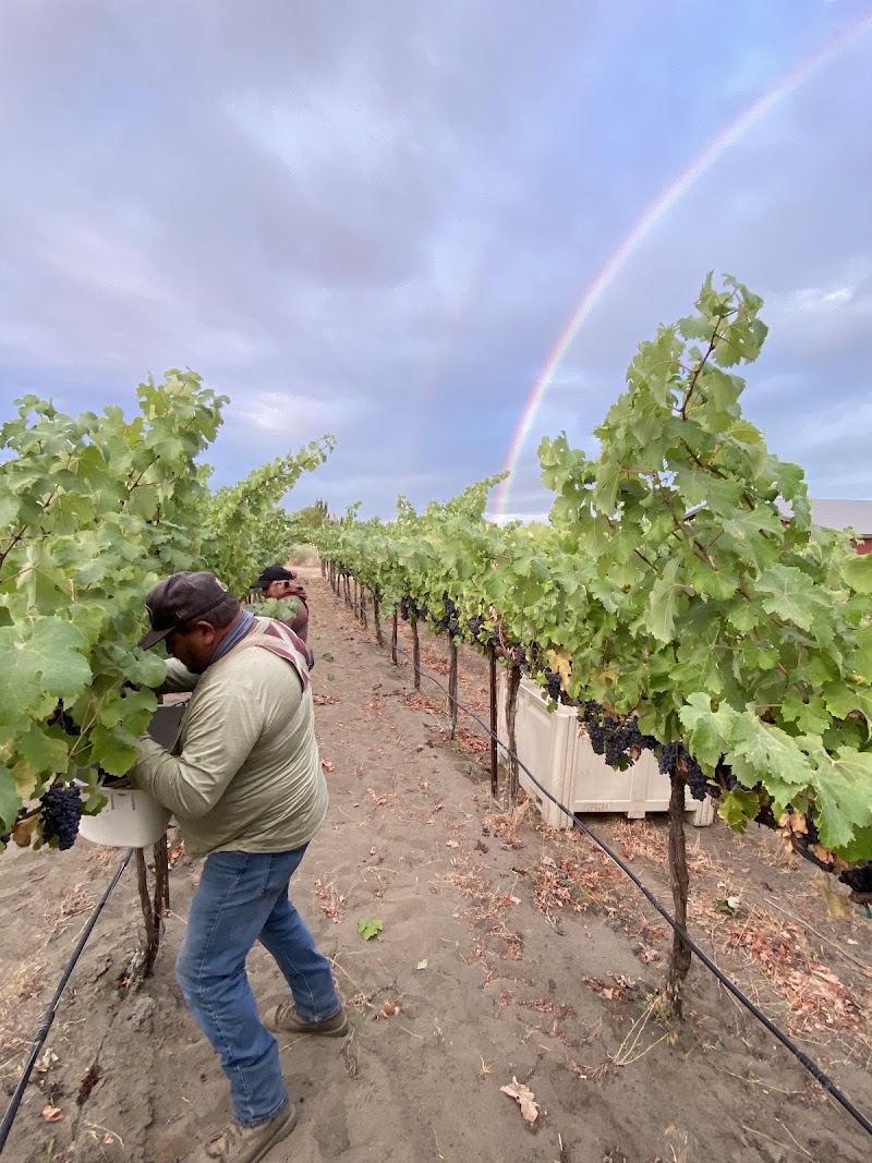 Photo of Palencia Winery - Palencia Family Estate