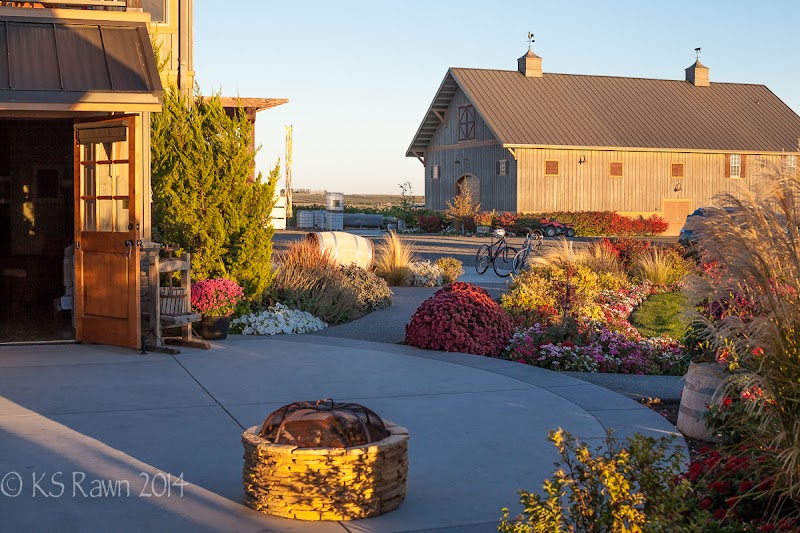 Photo of Dineen Vineyards