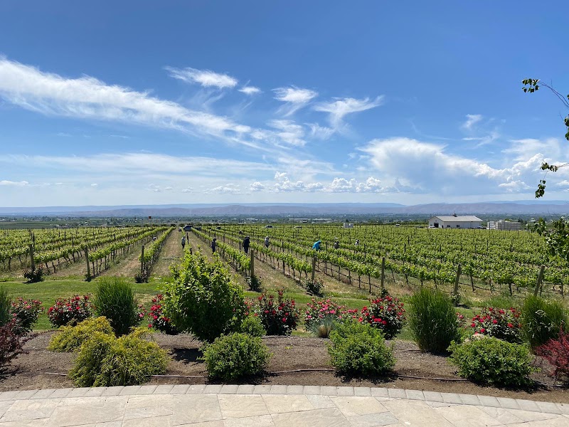Photo of Dineen Vineyards