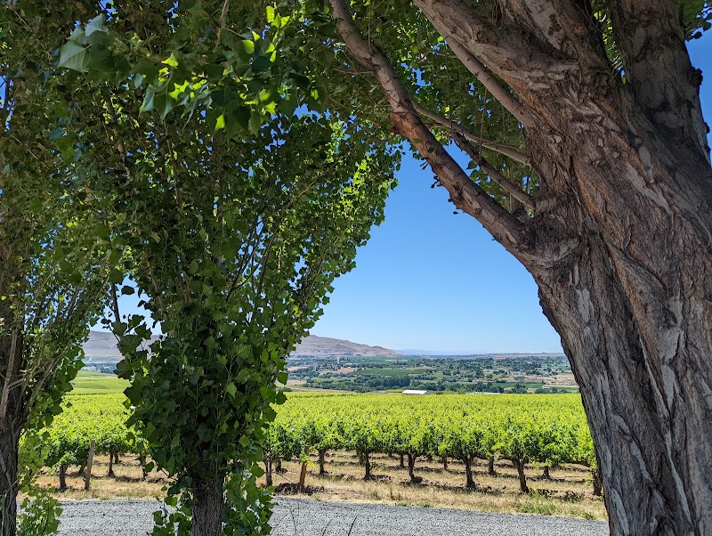 Photo of Avennia Estate Tasting Room