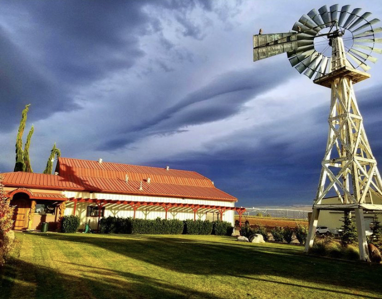 Photo of Hyatt Vineyards