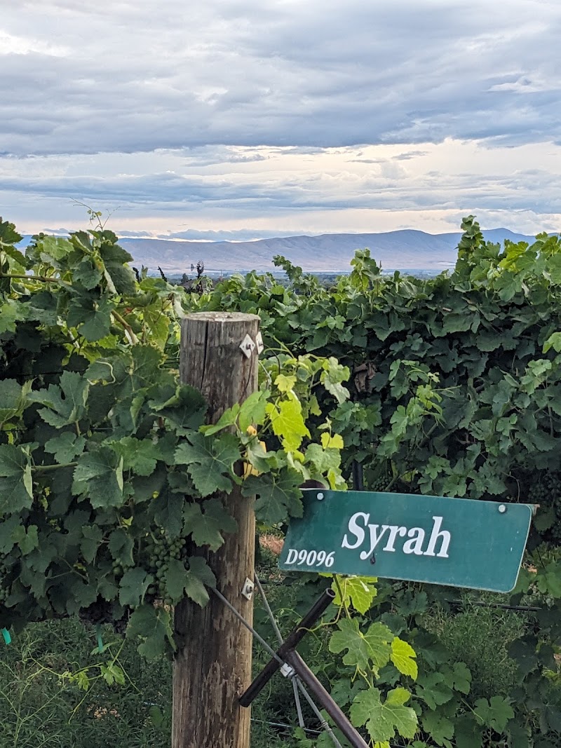Photo of Hyatt Vineyards