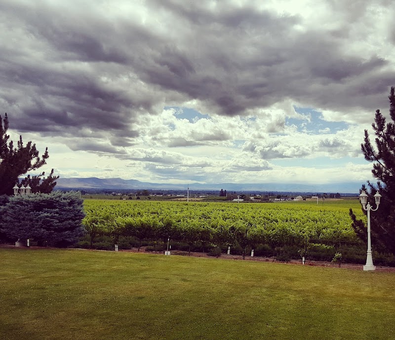 Photo of Hyatt Vineyards