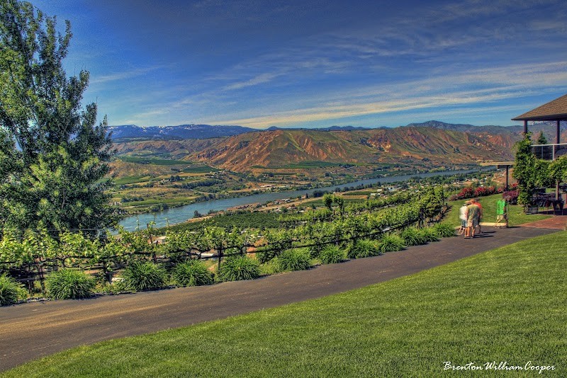 Photo of Circle 5 Winery (Martin-Scott)