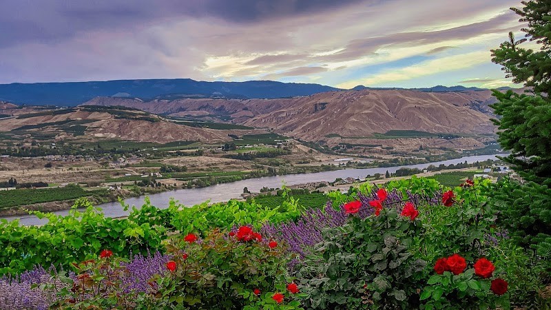 Photo of Circle 5 Winery (Martin-Scott)