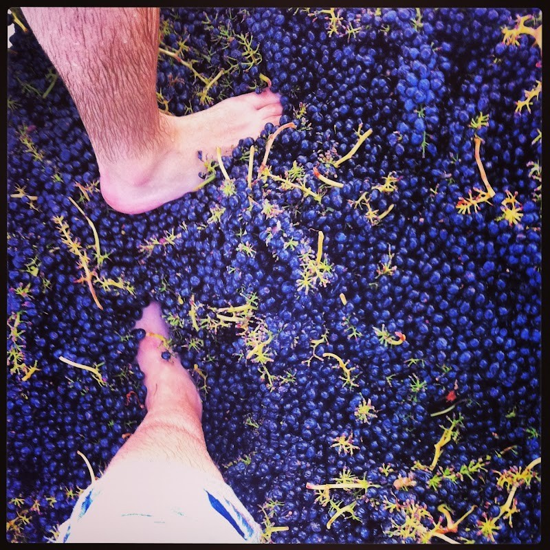 Photo of W.T. Vintners